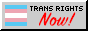 Button: 'Trans Rights Now!' with a picture of the trans flag.
