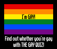I'm GAY! Find out whether you're gay with THE GAY QUIZ!