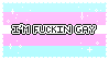 Stamp: 'I'm fucking gay' on top of a trans flag.