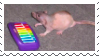Stamp: A rat at a rainbow keyboard from the neil banging out the tunes meme.